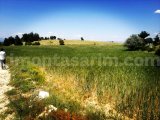 ISPARTA YALVAÇ KORUYAKA KÖYÜ SATILIK TARLA NO-20518