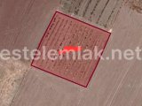 BURDUR KARAMANLI MÜRSELLER SATILIK TARLA NO.20594